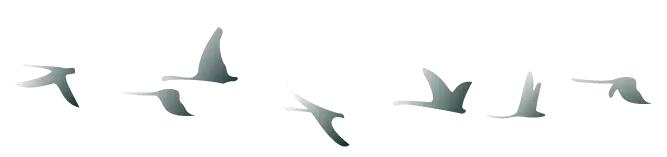 中秋佳節(jié) ▎有態(tài)度、有溫度， 一份堅守是最誠摯的祝福！